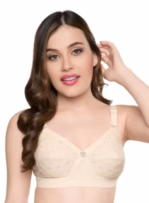 Riza Kruthika Chikan Bra