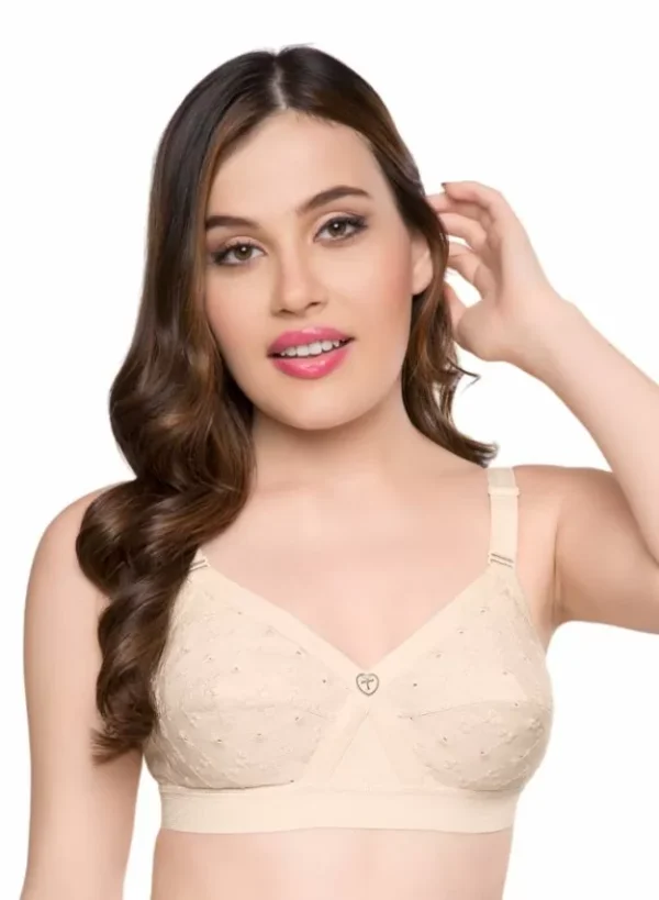Riza Kruthika Chikan Bra - Image 2